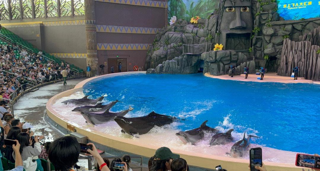海底探险潜水比赛，开启深海奇妙之旅